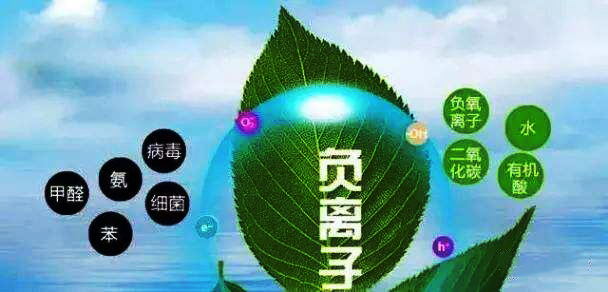 空氣負(fù)離子與空氣質(zhì)量